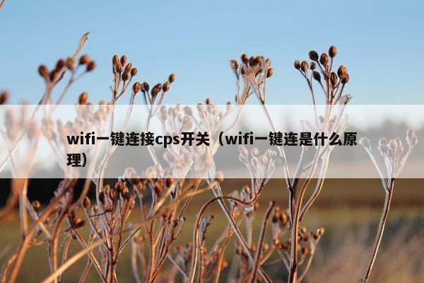 wifi一键连接cps开关（wifi一键连是什么原理）