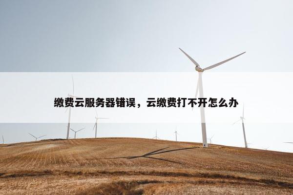 缴费云服务器错误，云缴费打不开怎么办