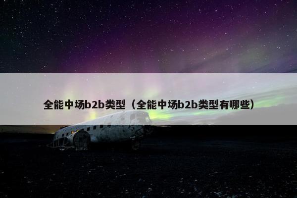 全能中场b2b类型（全能中场b2b类型有哪些）