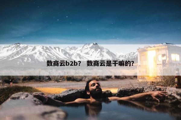 数商云b2b？ 数商云是干嘛的？