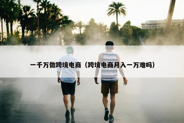 一千万做跨境电商(跨境电商月入一万难吗) 一千万做跨境电商(跨境电商月入一万难吗)