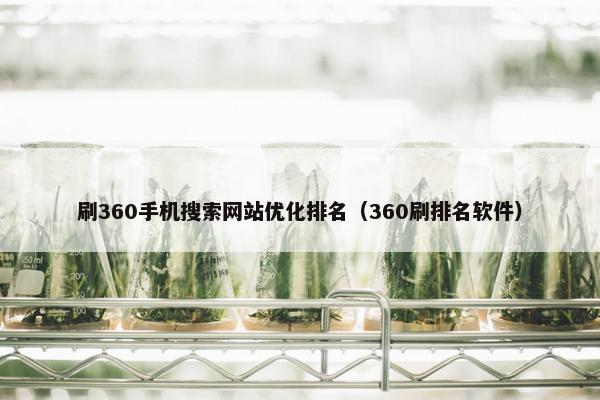 刷360手机搜索网站优化排名（360刷排名软件）