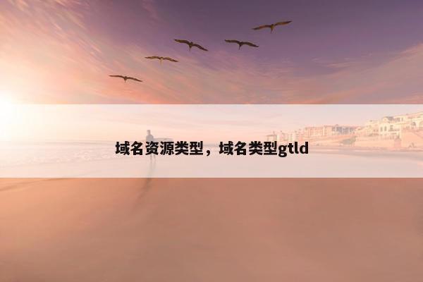 域名资源类型，域名类型gtld