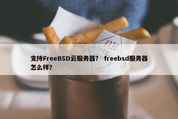 支持FreeBSD云服务器？ freebsd服务器怎么样？