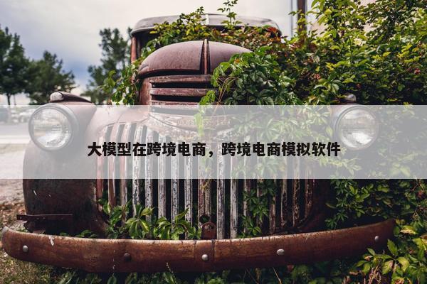 大模型在跨境电商，跨境电商模拟软件