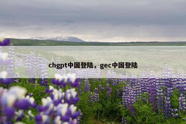 chgpt中国登陆，gec中国登陆