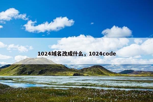 1024域名改成什么，1024code