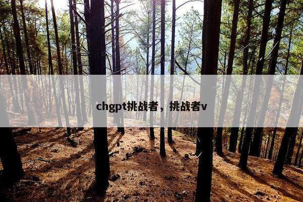 chgpt挑战者，挑战者v