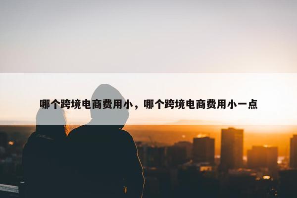 哪个跨境电商费用小，哪个跨境电商费用小一点
