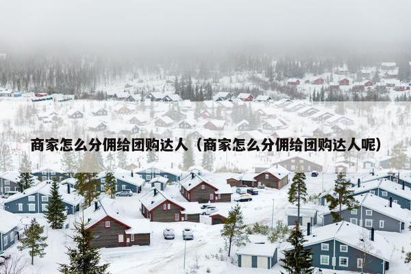 商家怎么分佣给团购达人（商家怎么分佣给团购达人呢）