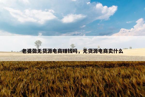 老婆做无货源电商赚钱吗，无货源电商卖什么