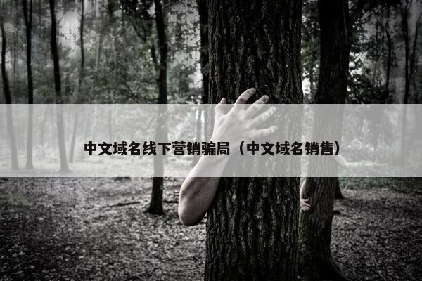 中文域名线下营销骗局（中文域名销售）