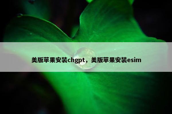 美版苹果安装chgpt，美版苹果安装esim