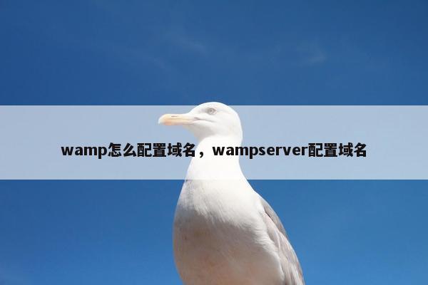 wamp怎么配置域名，wampserver配置域名
