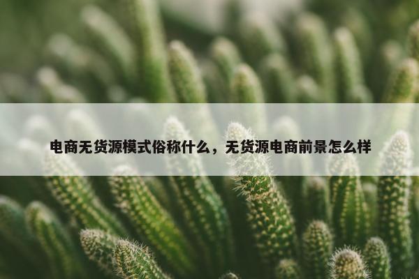 电商无货源模式俗称什么，无货源电商前景怎么样