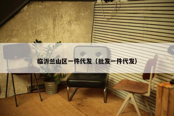 临沂兰山区一件代发（批发一件代发）
