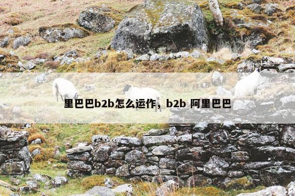 里巴巴b2b怎么运作，b2b 阿里巴巴