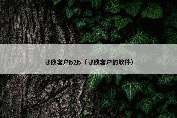寻找客户b2b（寻找客户的软件）