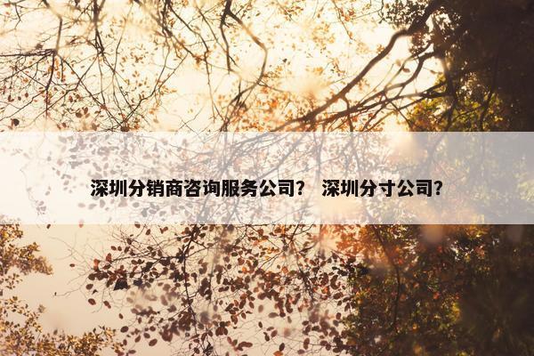 深圳分销商咨询服务公司？ 深圳分寸公司？