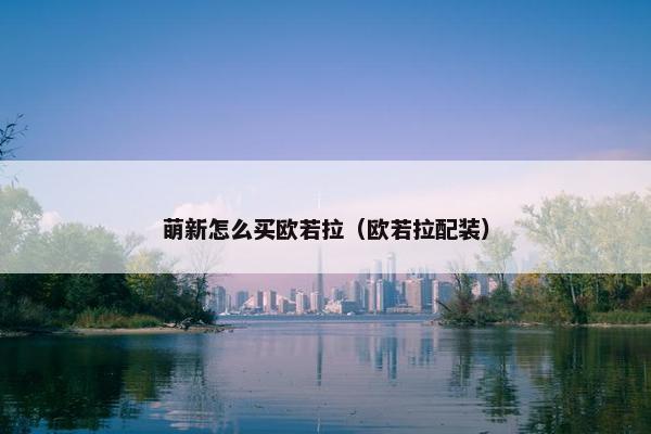 萌新怎么买欧若拉（欧若拉配装）