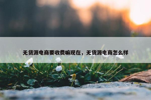 无货源电商要收费嘛现在，无货源电商怎么样
