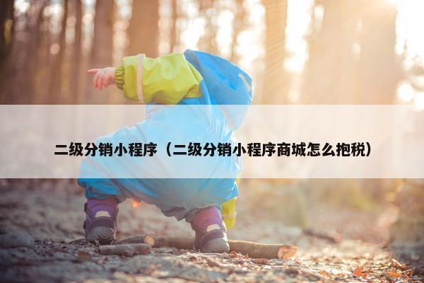 二级分销小程序（二级分销小程序商城怎么抱税）