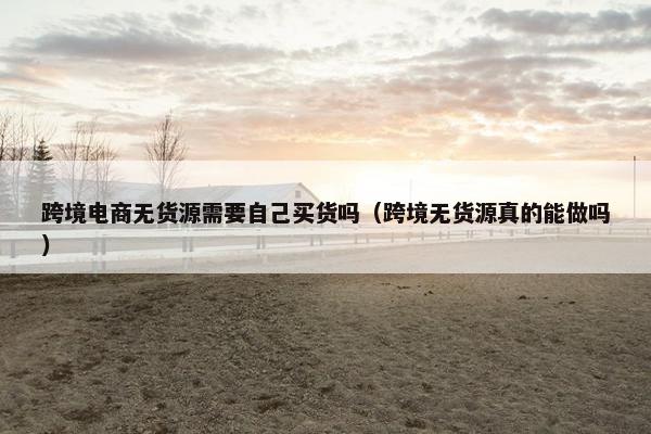 跨境电商无货源需要自己买货吗(跨境无货源真的能做吗) 跨境电商无货源需要自己买货吗(跨境无货源真的能做吗)
