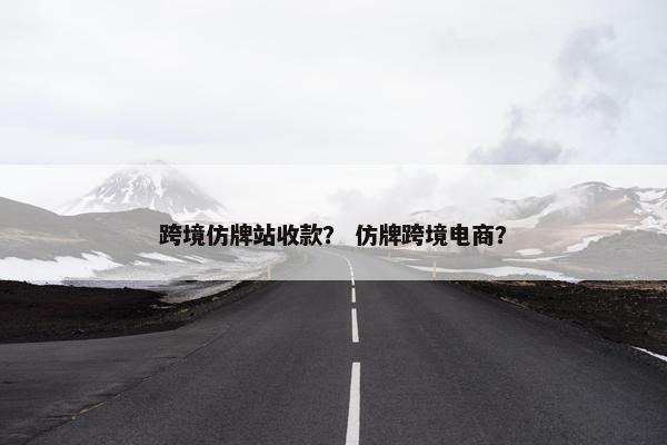 跨境仿牌站收款？ 仿牌跨境电商？