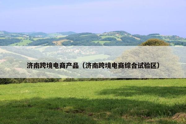 济南跨境电商产品（济南跨境电商综合试验区）