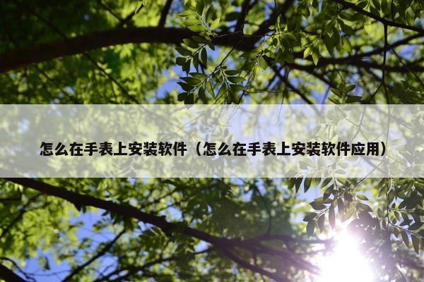 怎么在手表上安装软件（怎么在手表上安装软件应用）