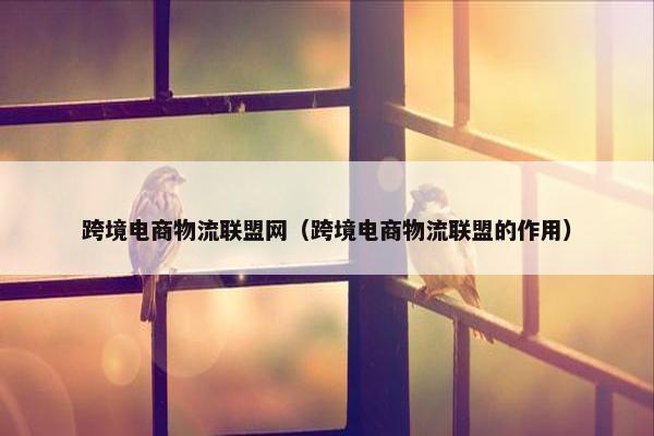 跨境电商物流联盟网（跨境电商物流联盟的作用）