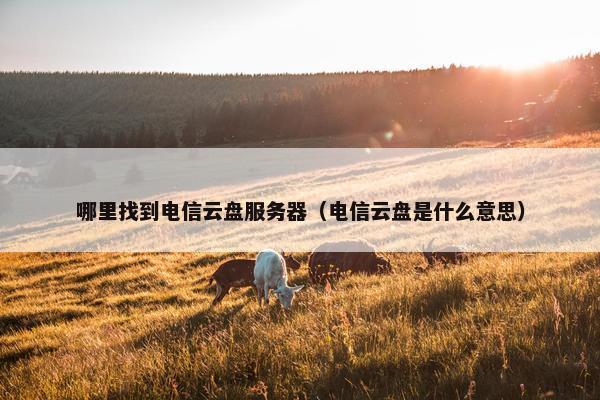 哪里找到电信云盘服务器（电信云盘是什么意思）