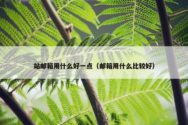 站邮箱用什么好一点（邮箱用什么比较好）