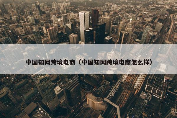 中国知网跨境电商（中国知网跨境电商怎么样）