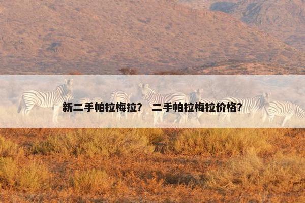 新二手帕拉梅拉？ 二手帕拉梅拉价格？