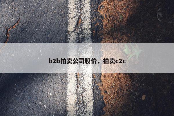 b2b拍卖公司股价，拍卖c2c