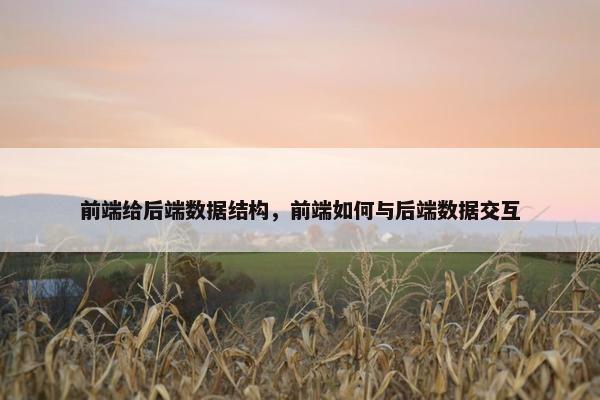 前端给后端数据结构，前端如何与后端数据交互