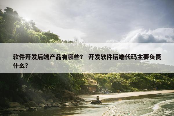 软件开发后端产品有哪些？ 开发软件后端代码主要负责什么？