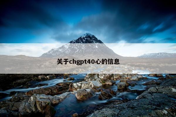 关于chgpt40心的信息