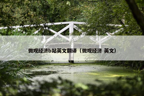 微观经济b站英文翻译（微观经济 英文）