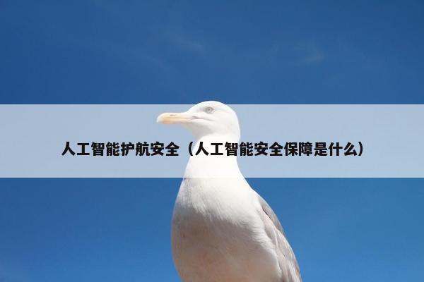 人工智能护航安全（人工智能安全保障是什么）