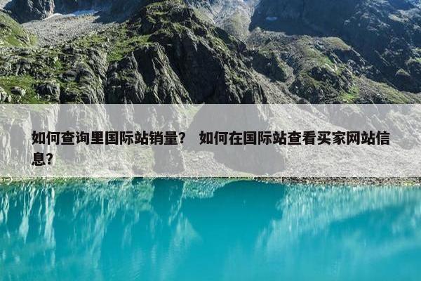 如何查询里国际站销量？ 如何在国际站查看买家网站信息？