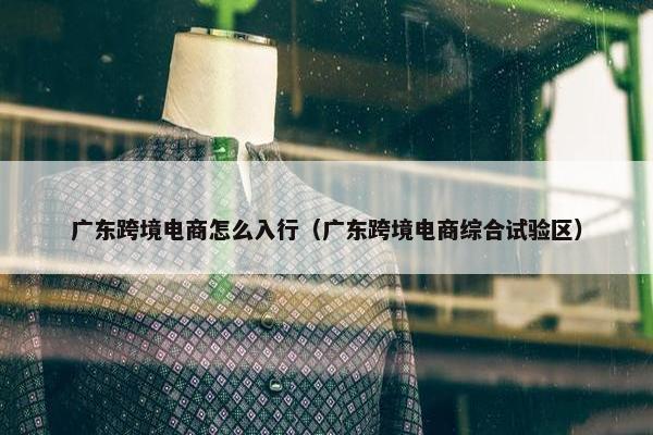广东跨境电商怎么入行（广东跨境电商综合试验区）