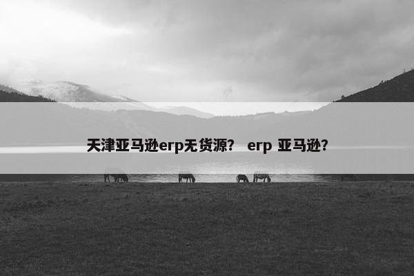 天津亚马逊erp无货源？ erp 亚马逊？