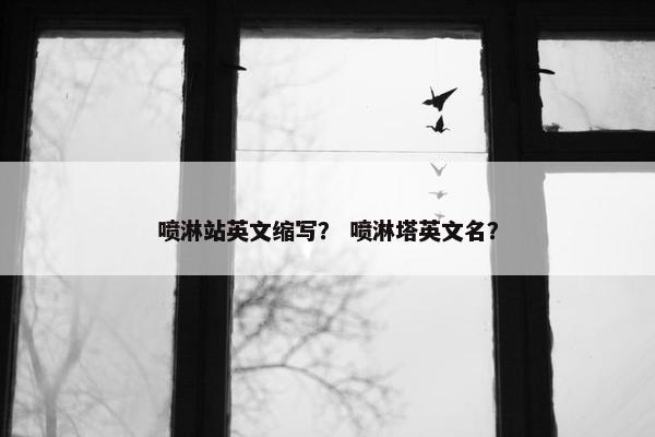 喷淋站英文缩写？ 喷淋塔英文名？