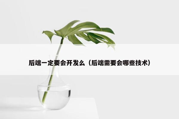 后端一定要会开发么（后端需要会哪些技术）
