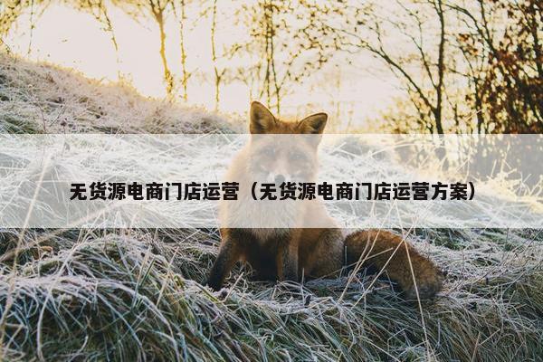 无货源电商门店运营（无货源电商门店运营方案）