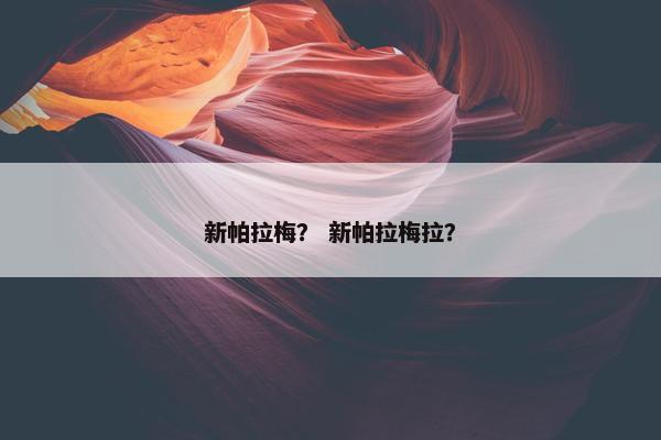 新帕拉梅？ 新帕拉梅拉？