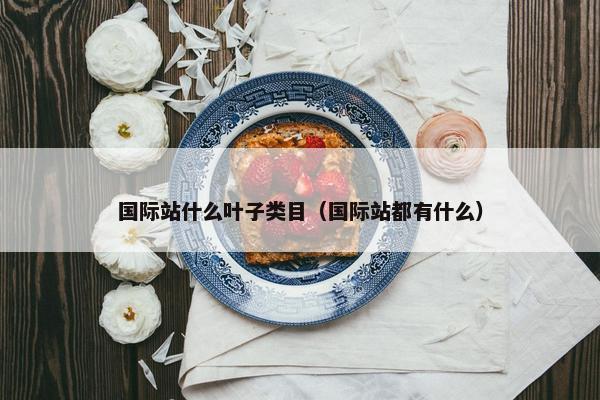 国际站什么叶子类目（国际站都有什么）