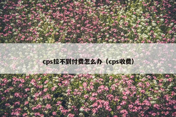 cps拉不到付费怎么办（cps收费）